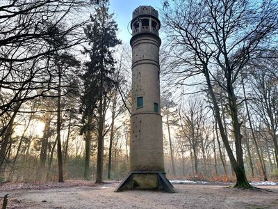 Belvedere.jpg