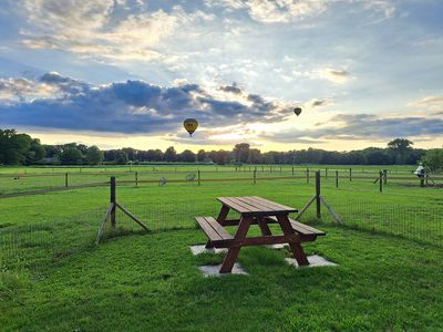 Luchtballonen.jpg