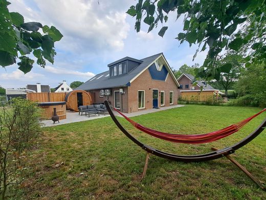 feature image